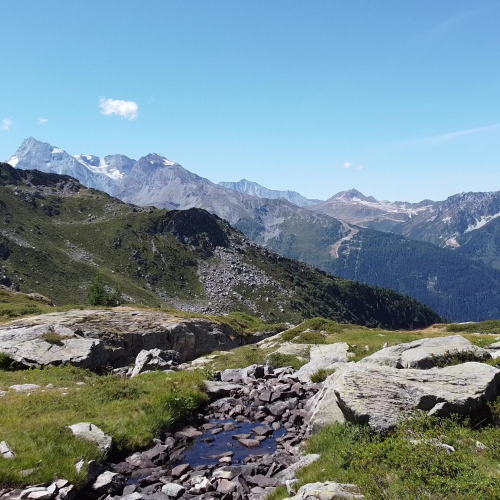 Séjour cani-randonnée