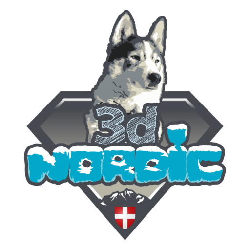 Logo 3D Nordic